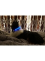 Iluminačný obojok na psíka, modrý - S/M (31/41cm)