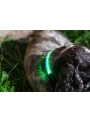 Iluminačný obojok na psíka, zelený- S/M (31/41cm)